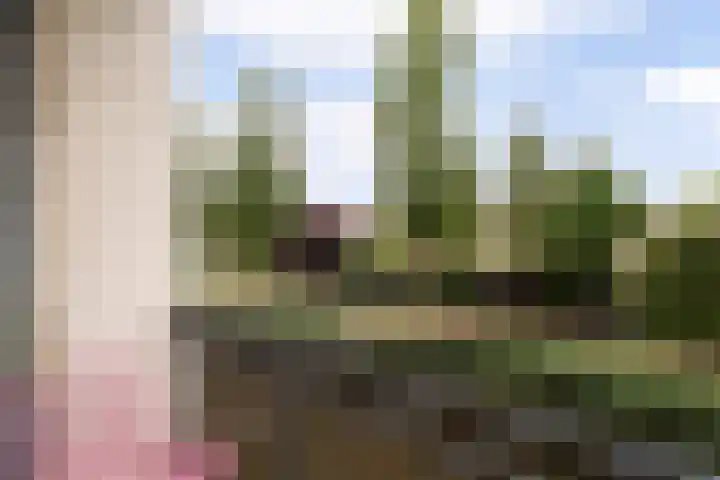Linnaeushof 11 Oegstgeest thumbnail 53