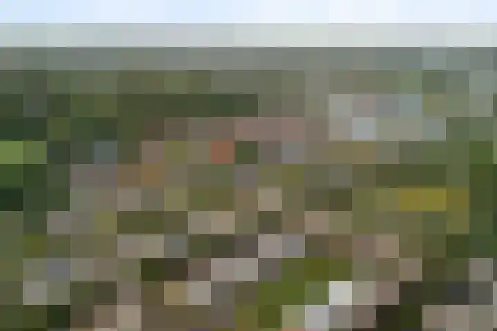 Linnaeushof 11 Oegstgeest thumbnail 6