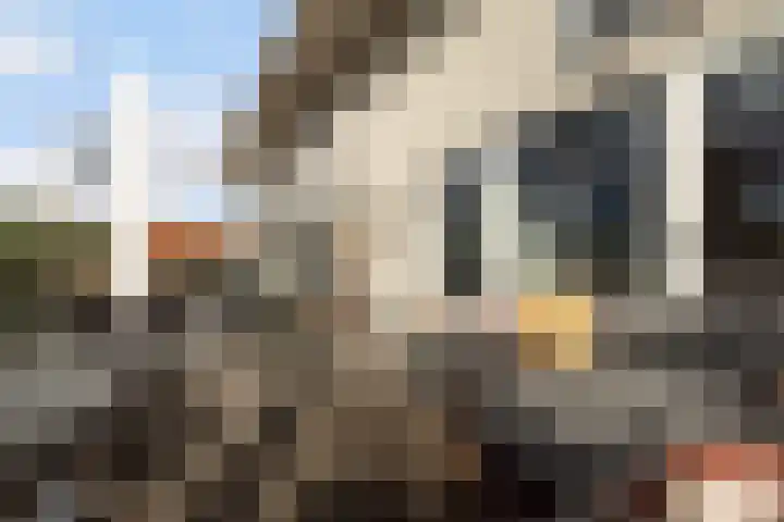 Linnaeushof 11 Oegstgeest thumbnail 60