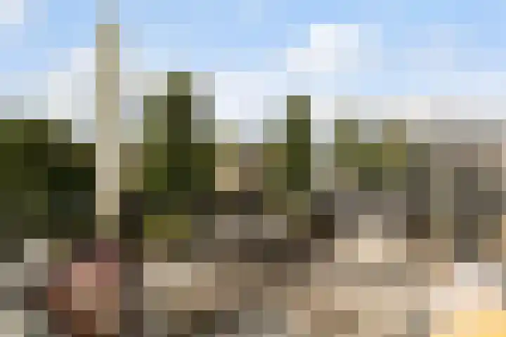 Linnaeushof 11 Oegstgeest thumbnail 61