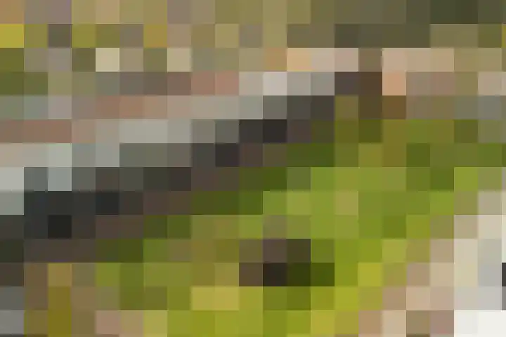 Linnaeushof 11 Oegstgeest thumbnail 7