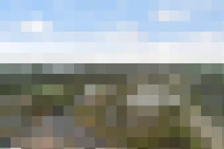 Linnaeushof 11 Oegstgeest thumbnail 71