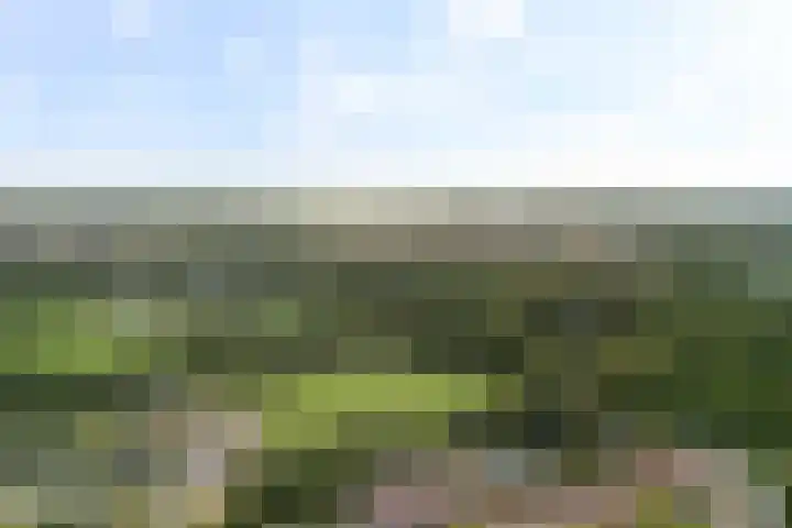 Linnaeushof 11 Oegstgeest thumbnail 72