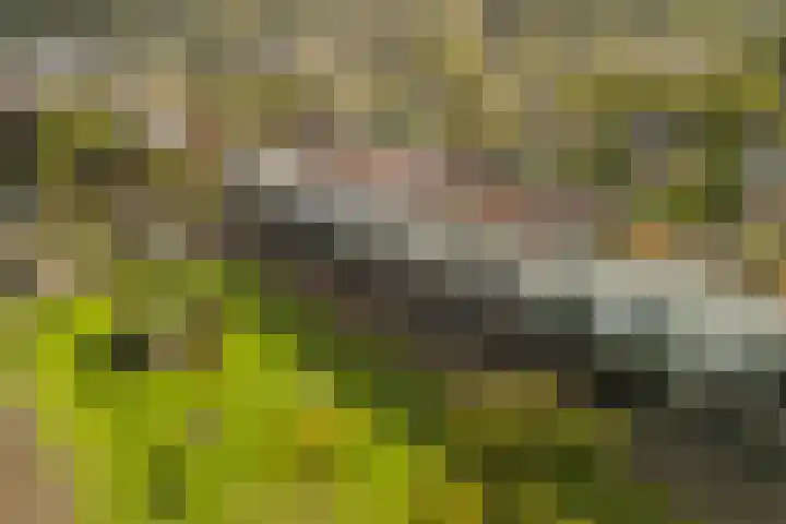 Linnaeushof 11 Oegstgeest thumbnail 8