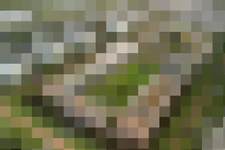Linnaeushof 11 Oegstgeest thumbnail 9