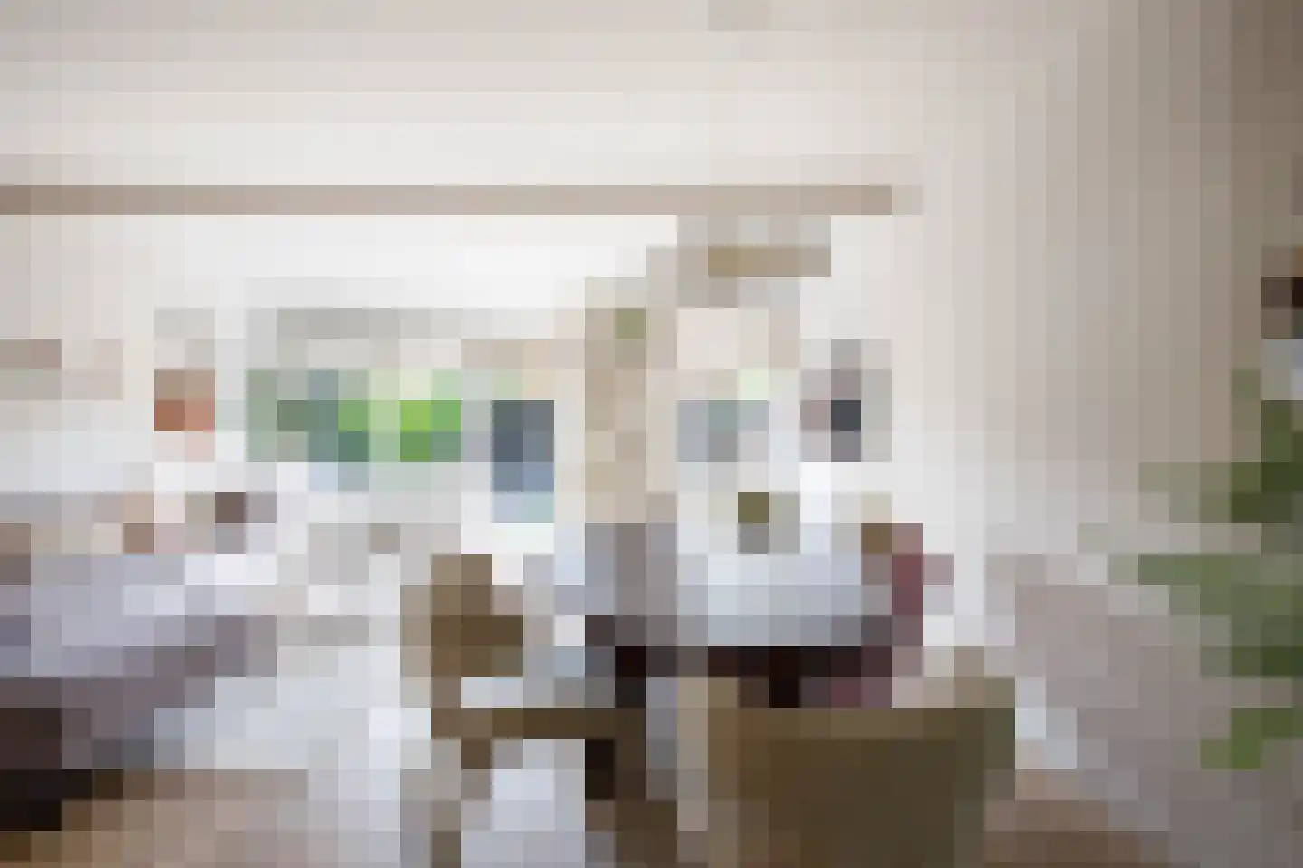 Linnaeushof 15 Schoonhoven thumbnail 11