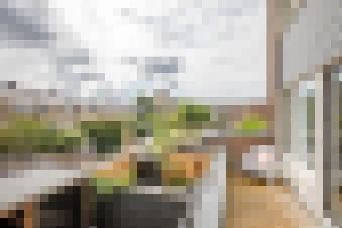 Linnaeushof 15 Schoonhoven thumbnail 20