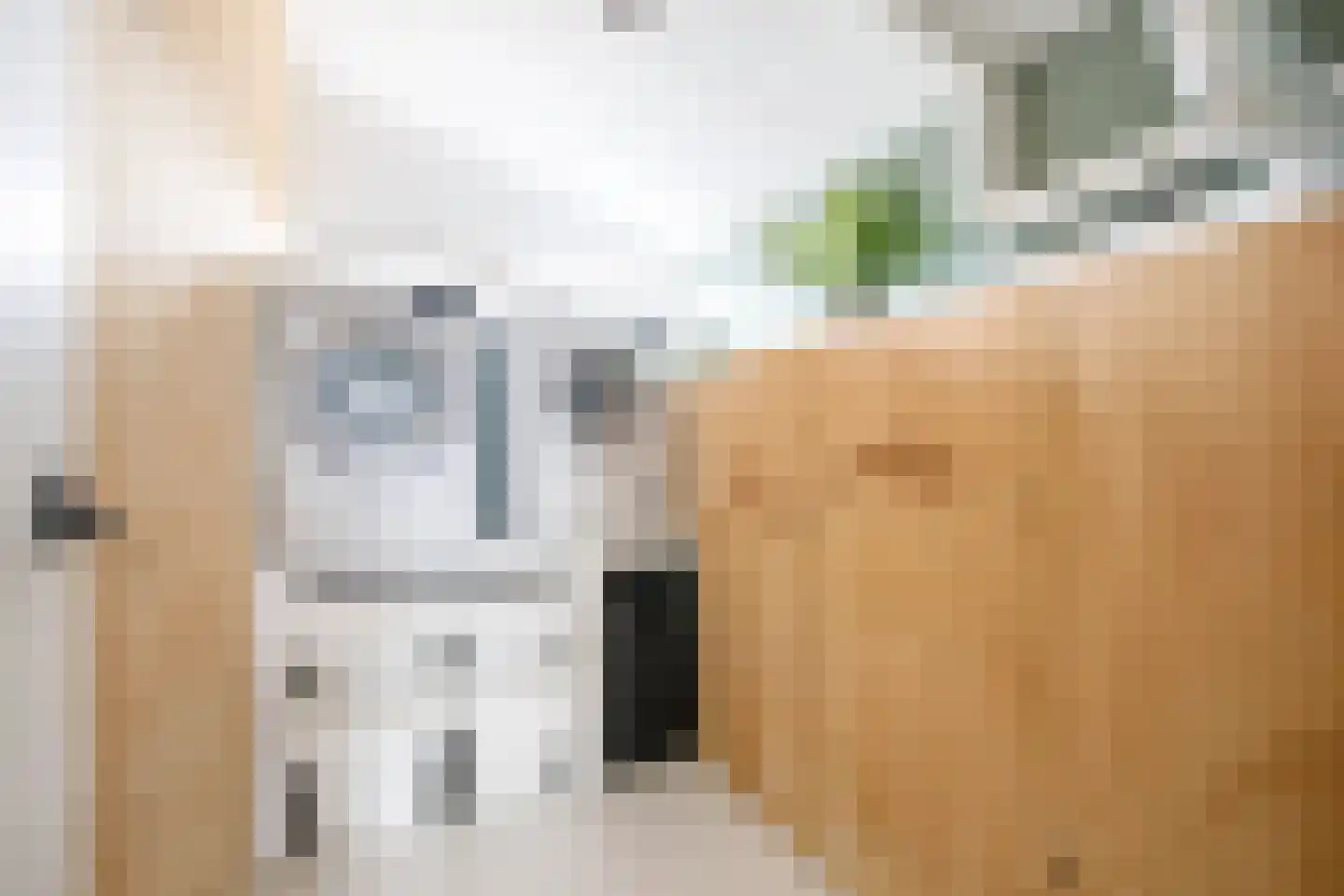 Linnaeushof 15 Schoonhoven thumbnail 30