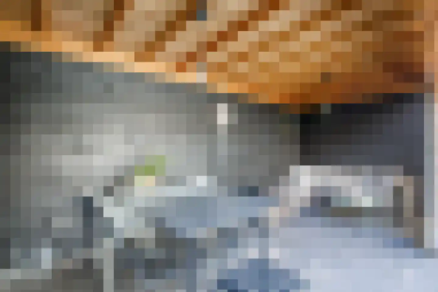 Linnaeushof 15 Schoonhoven thumbnail 34