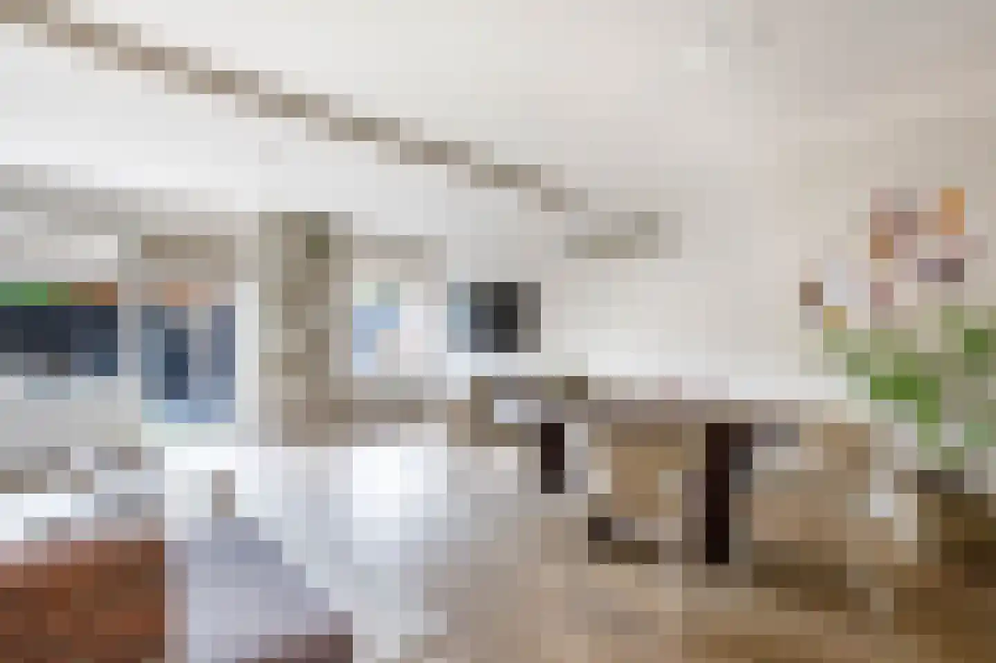 Linnaeushof 15 Schoonhoven thumbnail 9