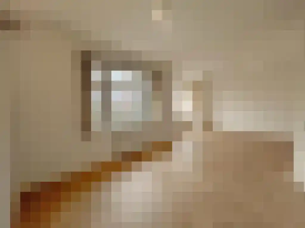 Linnaeushof 37 2 Amsterdam thumbnail 6
