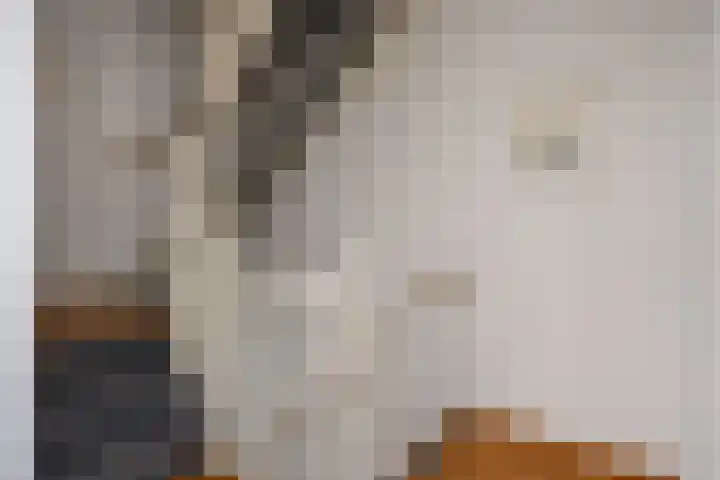 Linnaeushof 4 Oegstgeest thumbnail 10