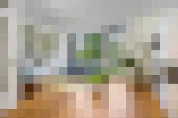 Linnaeushof 4 Oegstgeest thumbnail 12