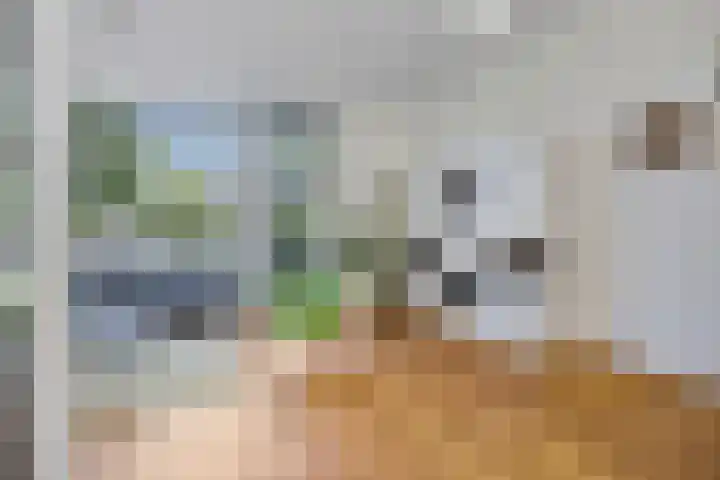 Linnaeushof 4 Oegstgeest thumbnail 15