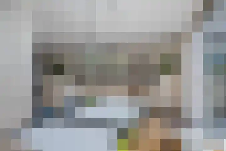 Linnaeushof 4 Oegstgeest thumbnail 19