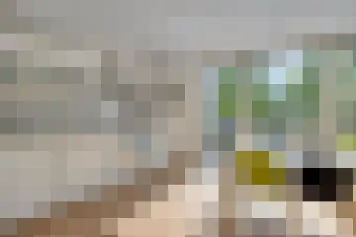 Linnaeushof 4 Oegstgeest thumbnail 20