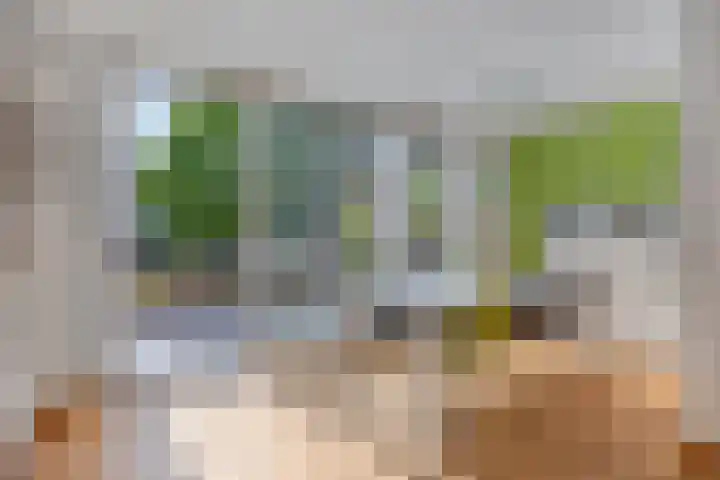 Linnaeushof 4 Oegstgeest thumbnail 21