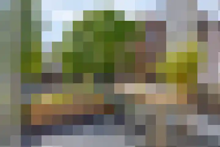 Linnaeushof 4 Oegstgeest thumbnail 22