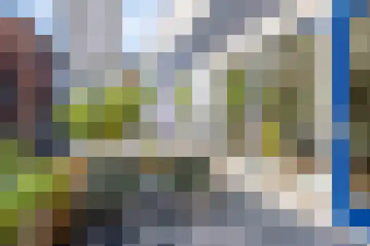 Linnaeushof 4 Oegstgeest thumbnail 23