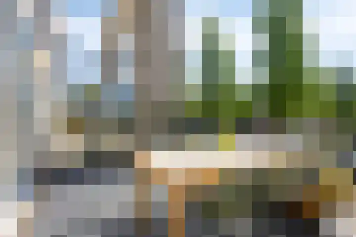 Linnaeushof 4 Oegstgeest thumbnail 24