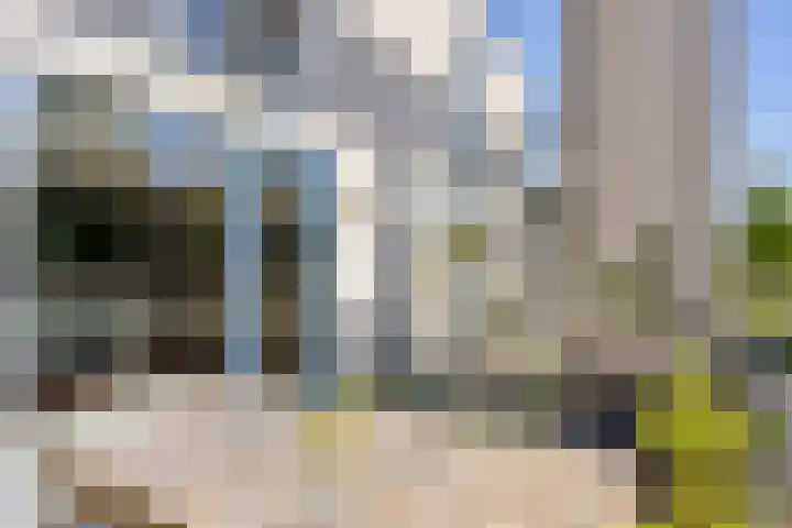 Linnaeushof 4 Oegstgeest thumbnail 25