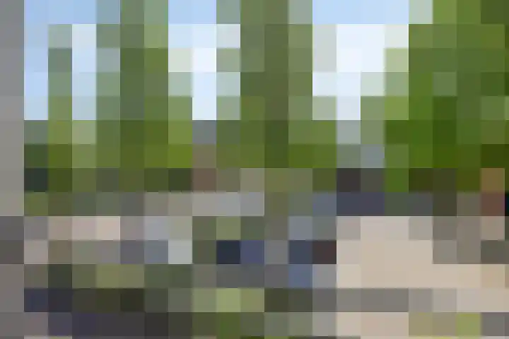 Linnaeushof 4 Oegstgeest thumbnail 26