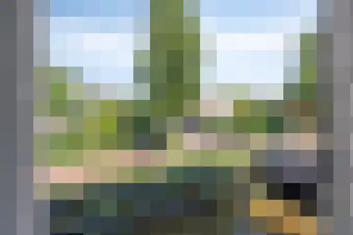Linnaeushof 4 Oegstgeest thumbnail 27