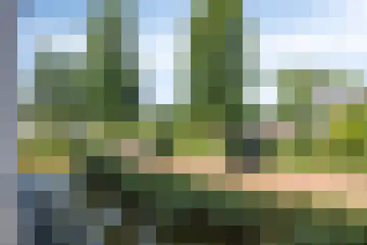 Linnaeushof 4 Oegstgeest thumbnail 28