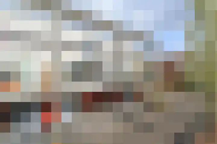 Linnaeushof 4 Oegstgeest thumbnail 41