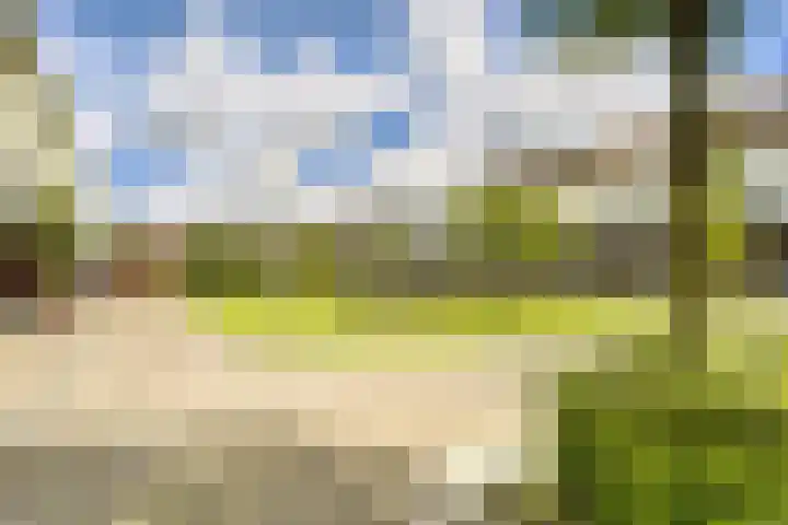 Linnaeushof 4 Oegstgeest thumbnail 45