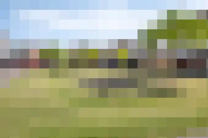 Linnaeushof 4 Oegstgeest thumbnail 46
