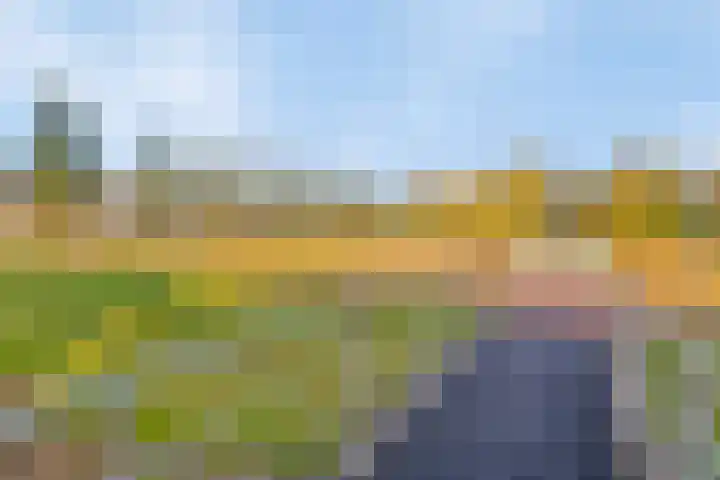 Linnaeushof 4 Oegstgeest thumbnail 48