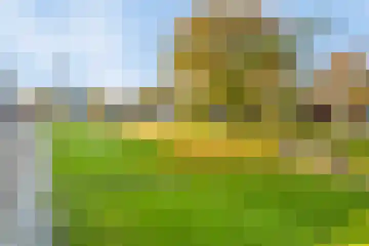 Linnaeushof 4 Oegstgeest thumbnail 49