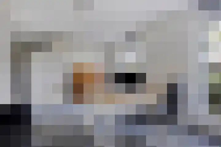 Linnaeushof 4 Oegstgeest thumbnail 8