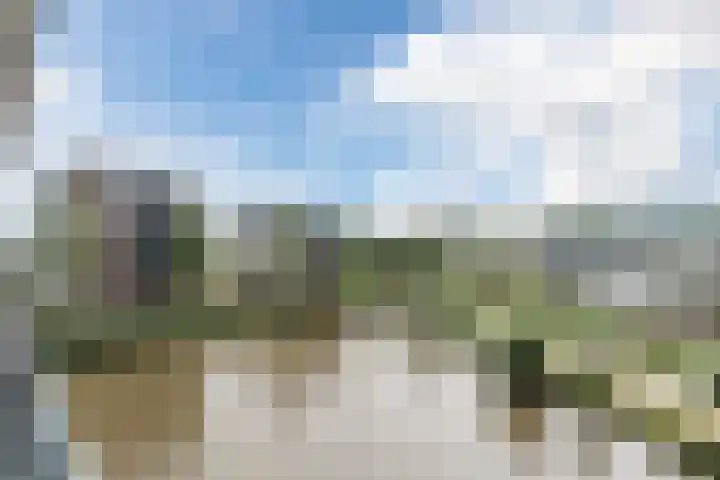 Linnaeushof 47 Oegstgeest thumbnail 20