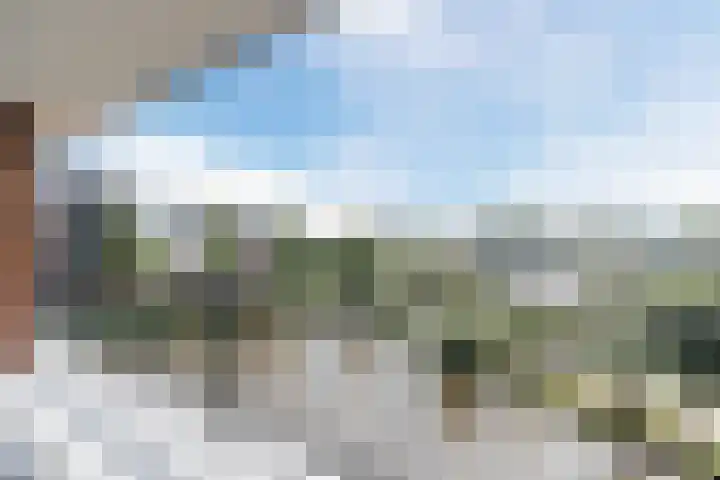 Linnaeushof 47 Oegstgeest thumbnail 35