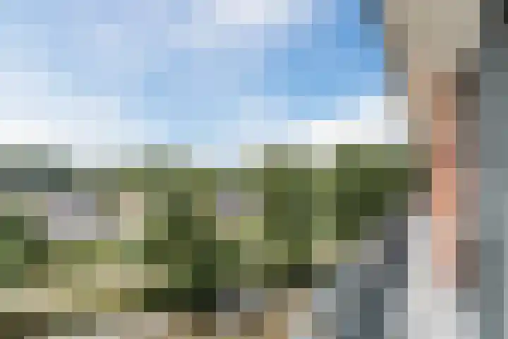 Linnaeushof 47 Oegstgeest thumbnail 36