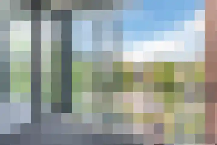 Linnaeushof 47 Oegstgeest thumbnail 38