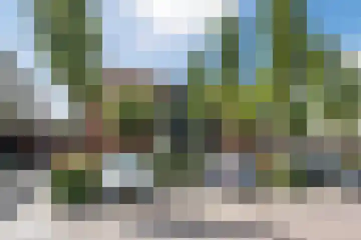 Linnaeushof 47 Oegstgeest thumbnail 39