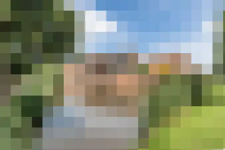 Linnaeushof 47 Oegstgeest thumbnail 41
