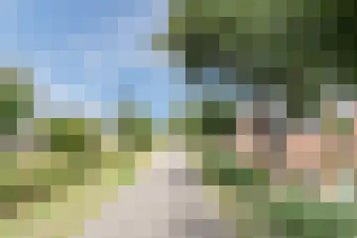 Linnaeushof 47 Oegstgeest thumbnail 42