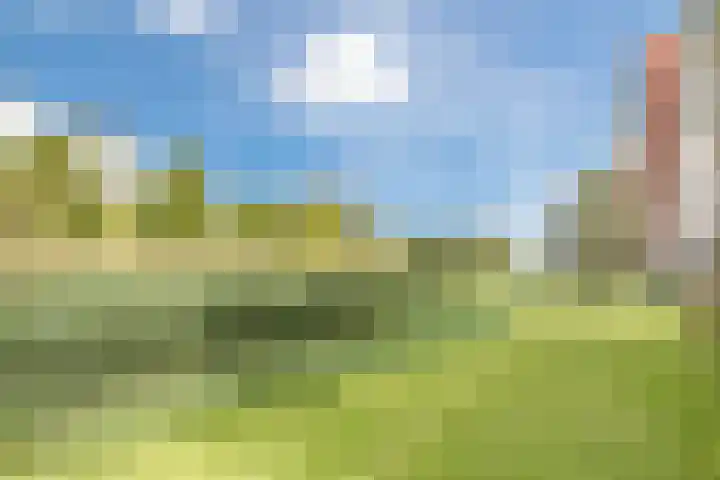 Linnaeushof 47 Oegstgeest thumbnail 43