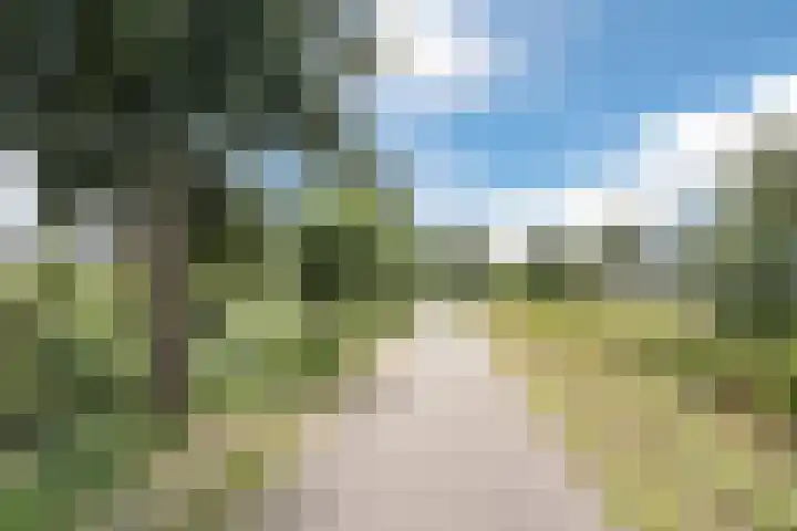 Linnaeushof 47 Oegstgeest thumbnail 44