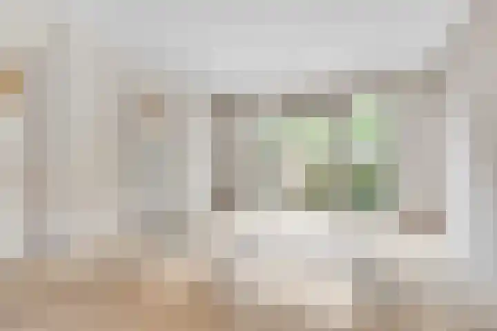 Linnaeushof 52 H Amsterdam thumbnail 13