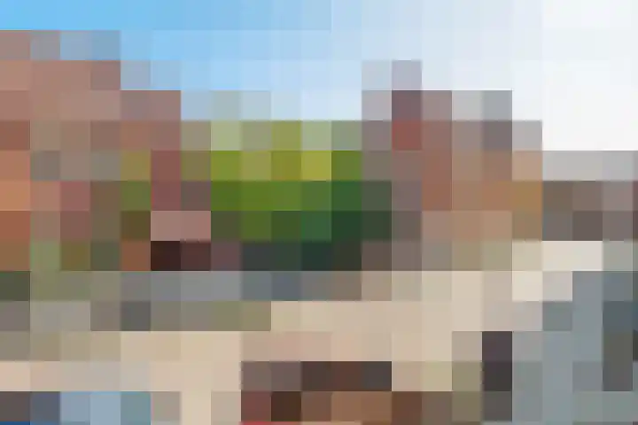 Linnaeushof 52 H Amsterdam thumbnail 19