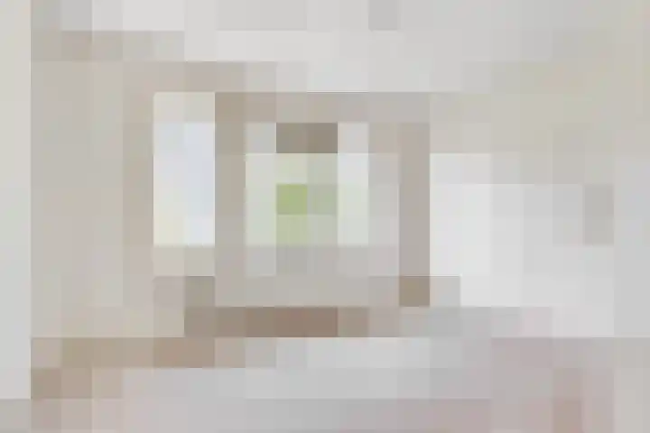 Linnaeushof 52 H Amsterdam thumbnail 20