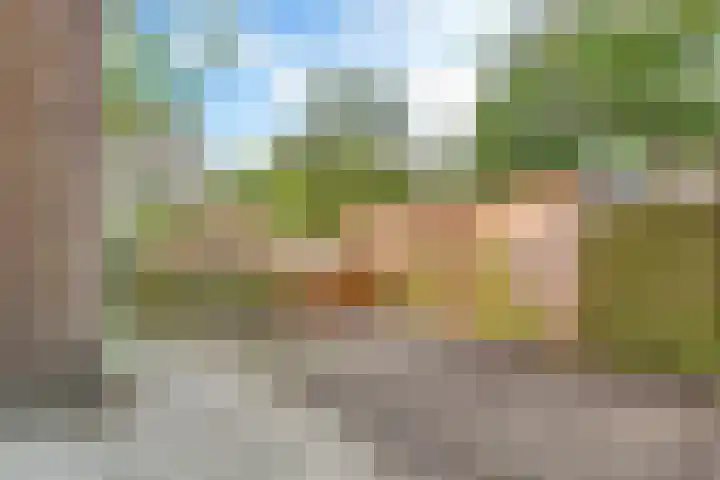 Linnaeushof 52 H Amsterdam thumbnail 6