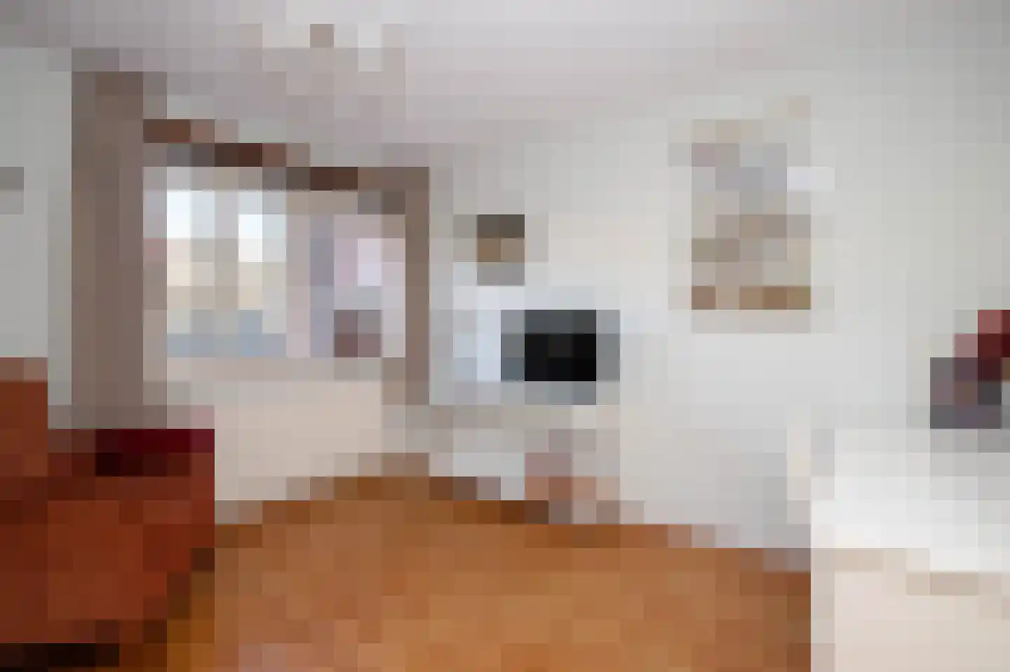 Linnaeushof 6 Schoonhoven thumbnail 26