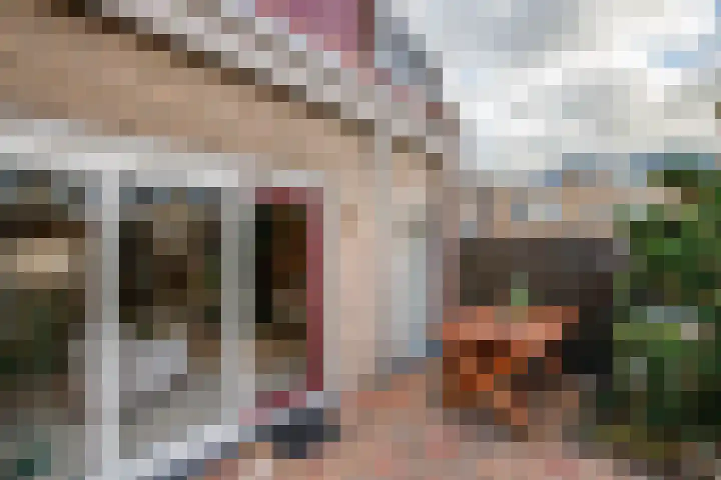Linnaeushof 6 Schoonhoven thumbnail 34