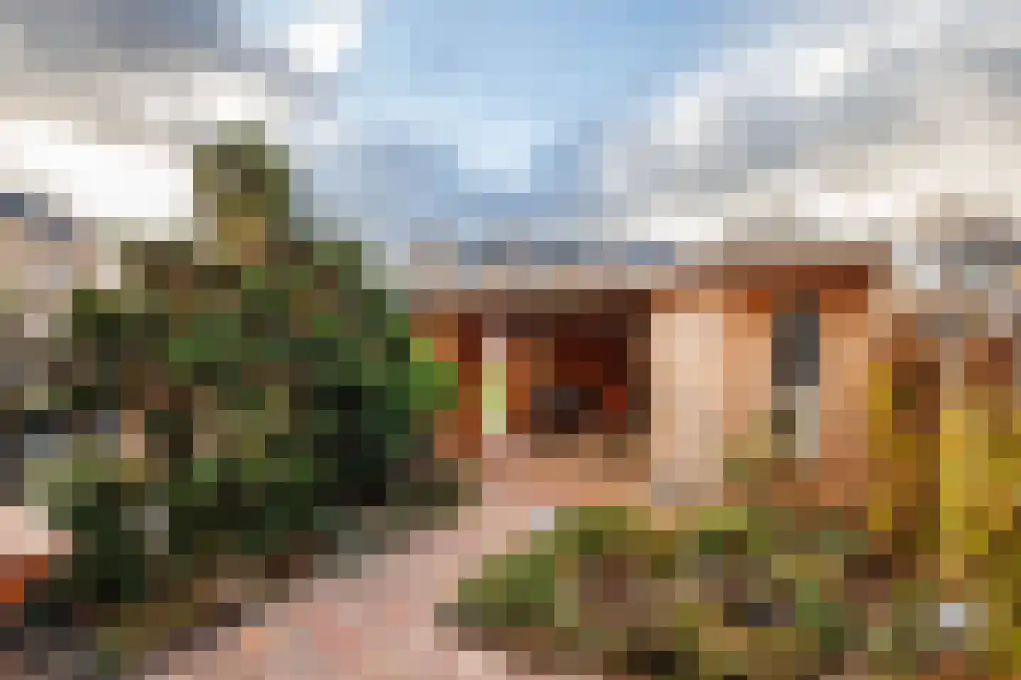 Linnaeushof 6 Schoonhoven thumbnail 35